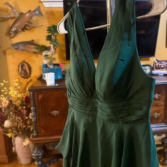 NWT BEAUTIFUL Chiffon Green Evening Gown sz 10 - Picture 2 of 6